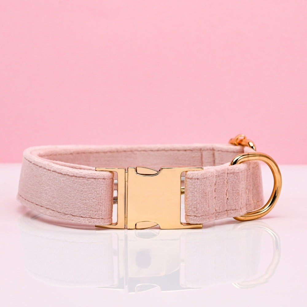 The Spoiled Pet Club pink velvet dog collar with a polished gold-tone metal buckle and D-ring on a reflective surface.