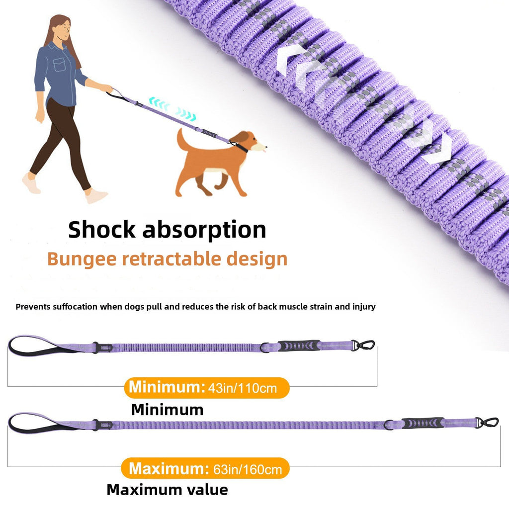 The Spoiled Pet Club purple shock-absorbing bungee dog leash with retractable design and safety attachment.