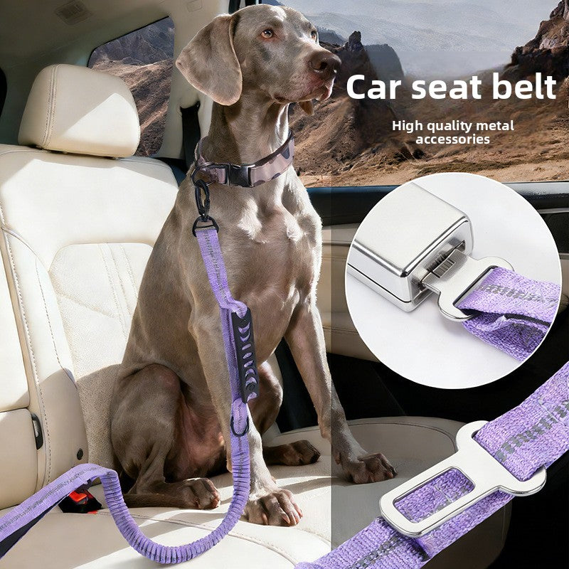 The Spoiled Pet Club purple multifunctional dog leash and car seat belt with durable metal hardware on a Weimaraner
