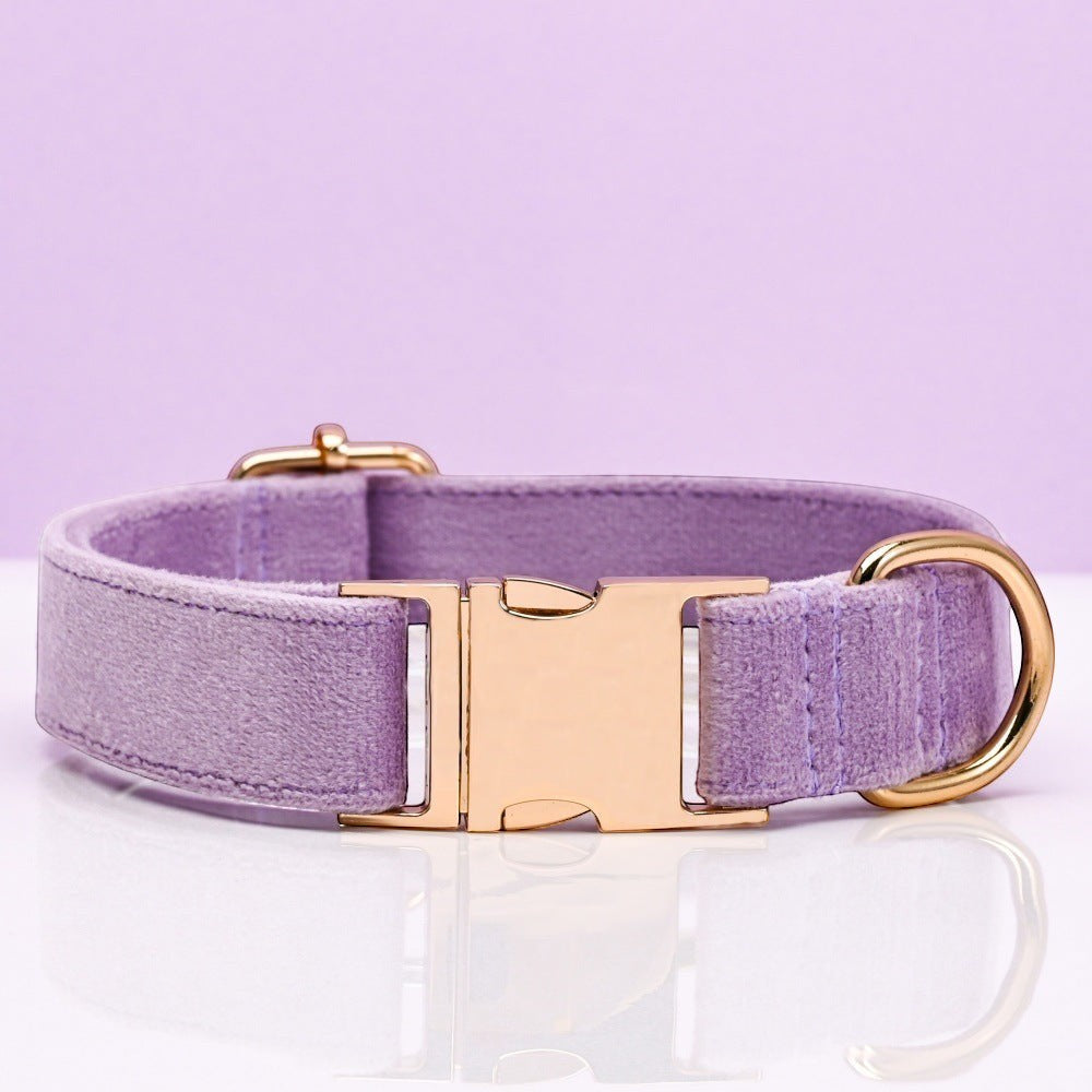 The Spoiled Pet Club light purple velvet dog collar with gold metal buckle and D-ring, adjustable length.