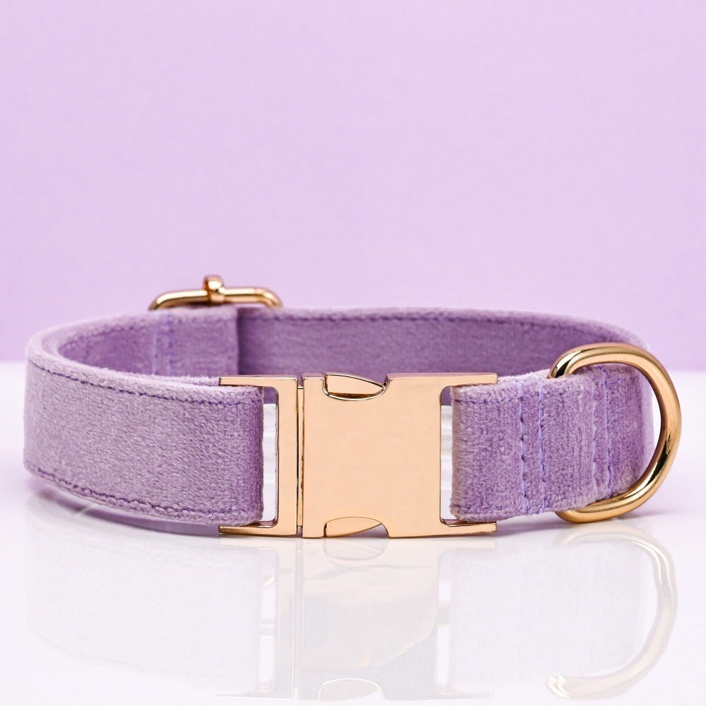 The Spoiled Pet Club light purple velvet dog collar with a polished gold-tone metal buckle and D-ring.