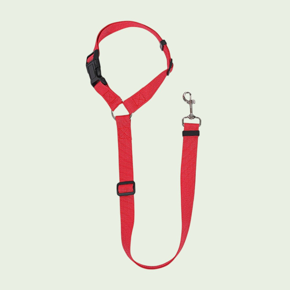 The Spoiled Pet Club red adjustable nylon dog seat belt with a heavy-duty metal swivel clip for car safety.