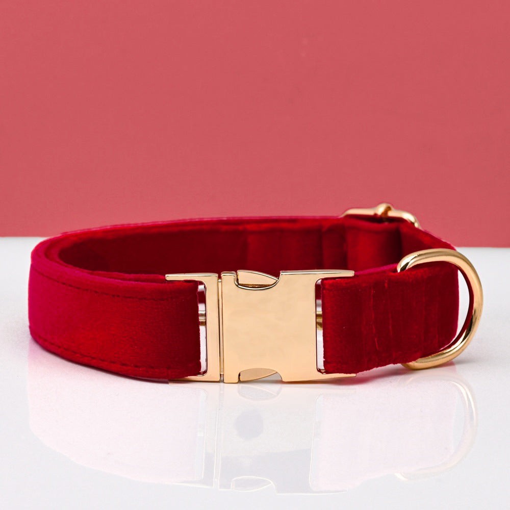 The Spoiled Pet Club red velvet dog collar with a polished gold-tone metal buckle and D-ring on a white surface.