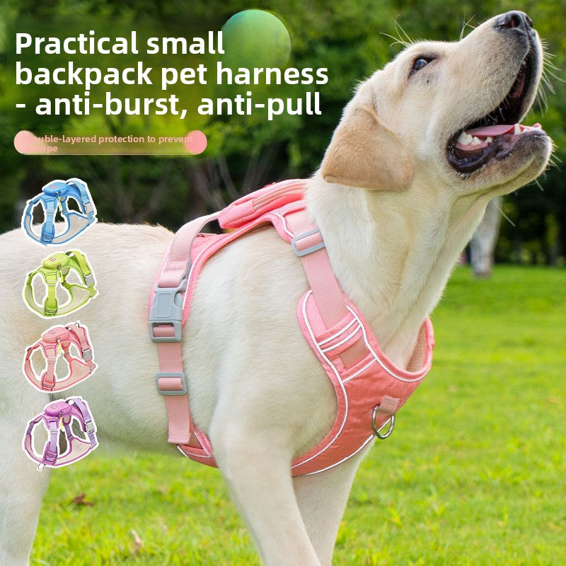 The Spoiled Pet Club reflective dog harness in peach powder on a Labrador, featuring an anti-pull design.