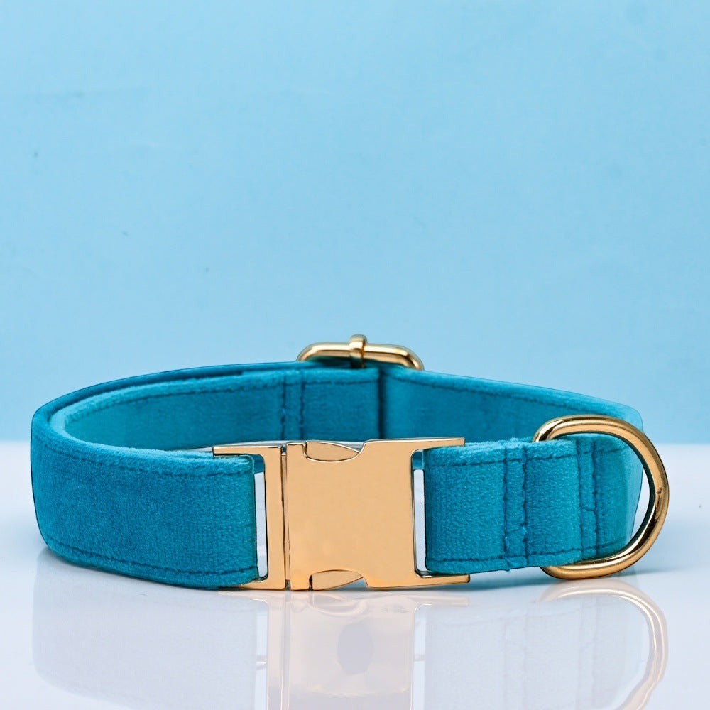 The Spoiled Pet Club teal velvet dog collar with gold metal buckle and D-ring, adjustable for comfort.