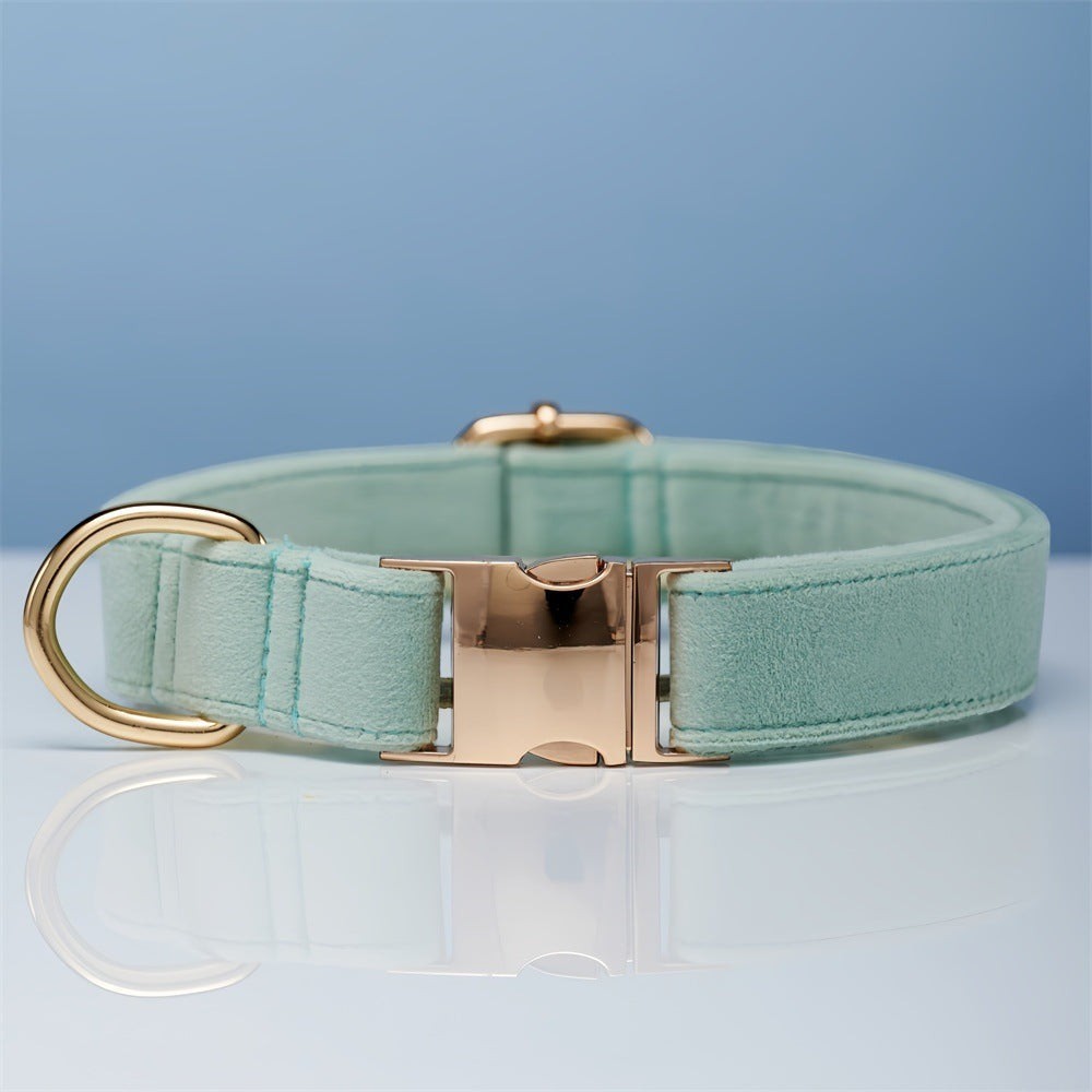 The Spoiled Pet Club light aqua green velvet dog collar with gold-tone metal buckle and D-ring on a reflective base.