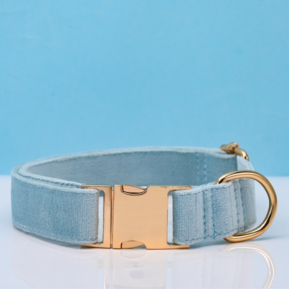 The Spoiled Pet Club light blue velvet dog collar with a polished gold-tone metal buckle and D-ring.