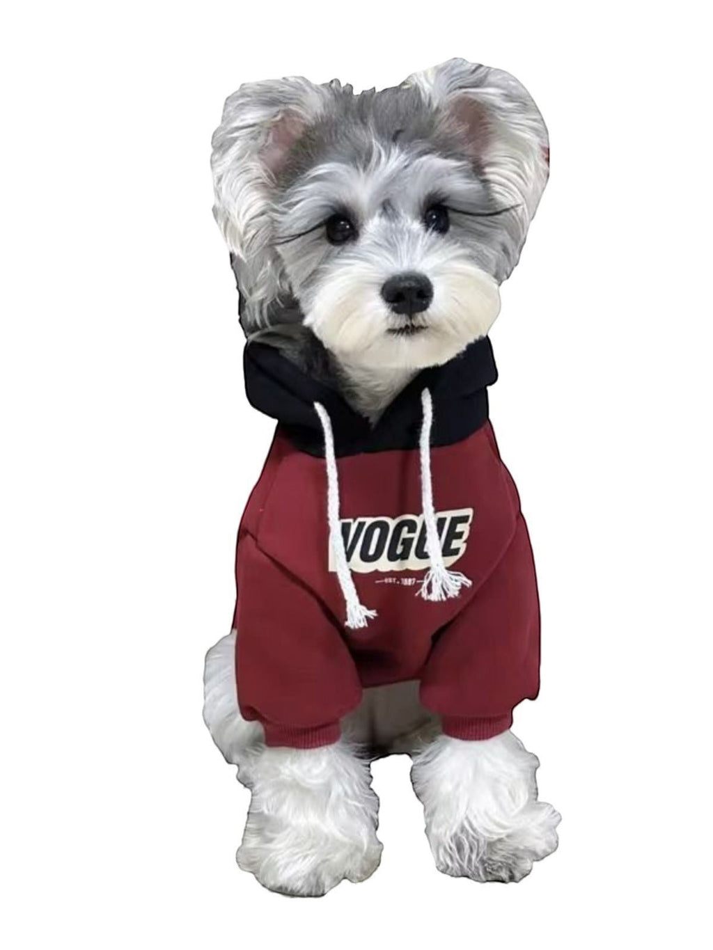 The Spoiled Pet Club burgundy and black polyester dog hoodie with Vogue graphic print and white drawstring hood