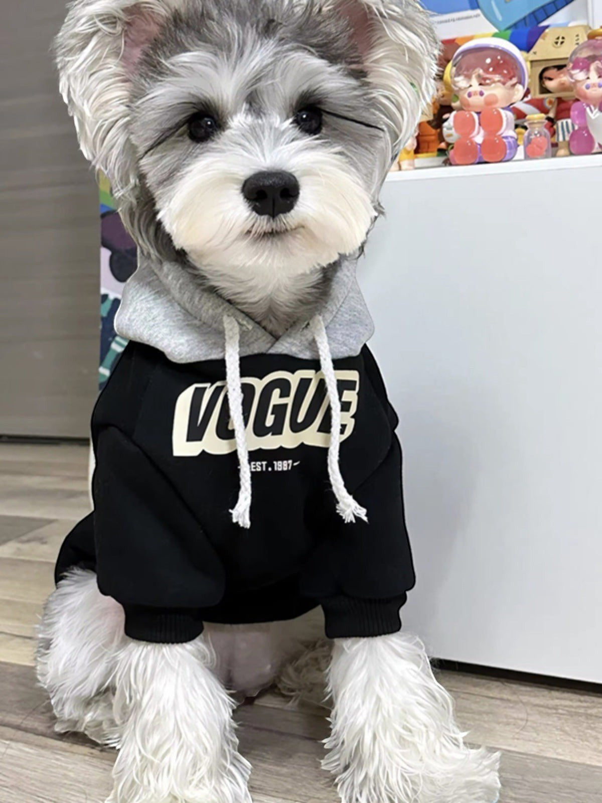 The Spoiled Pet Club dog wearing a black polyester hoodie with a grey hood and Vogue graphic print.