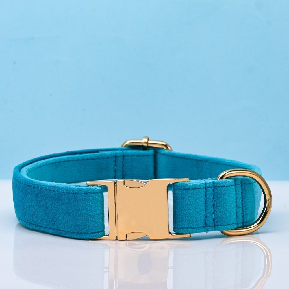 The Spoiled Pet Club Windsor velvet dog collar in peacock blue with a polished gold-tone metal buckle and D-ring.