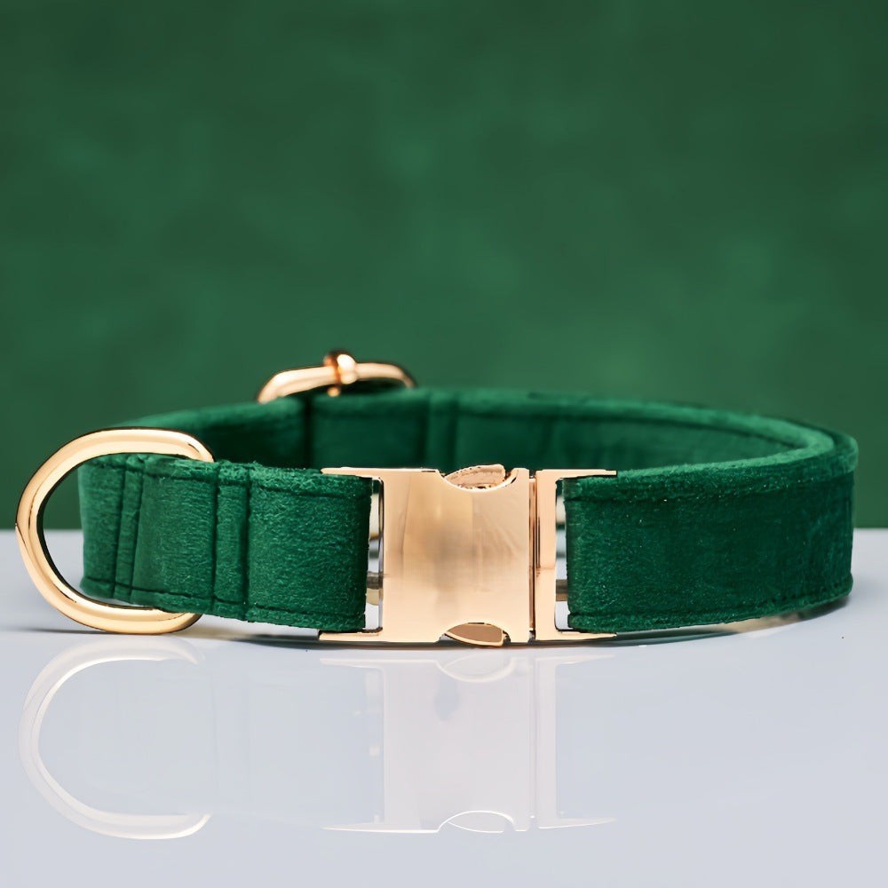 The Spoiled Pet Club Windsor velvet dog collar in emerald green with gold-tone metal buckle and D-ring.