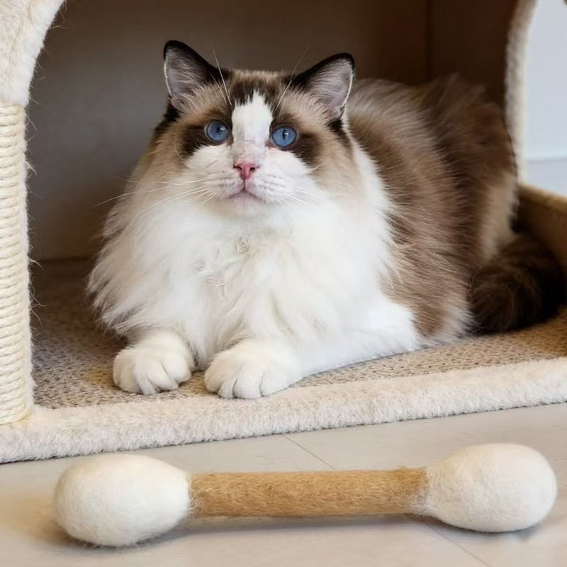 The Spoiled Pet Club wool felt Clubhouse cat toy shaped like a bone, sitting in front of a fluffy cat in a cat tree.