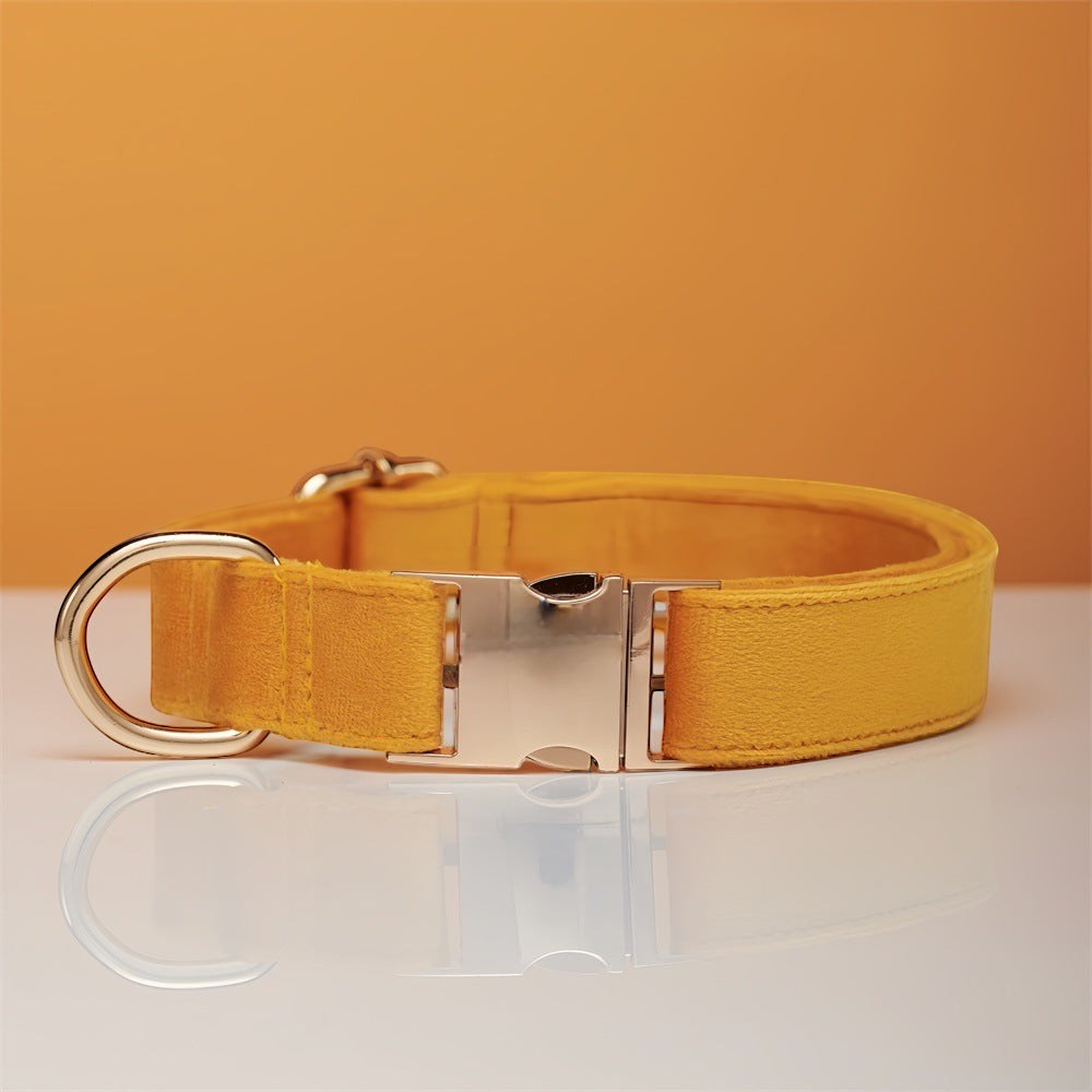 The Spoiled Pet Club yellow velvet dog collar with silver metal buckle and D-ring, adjustable for comfort.